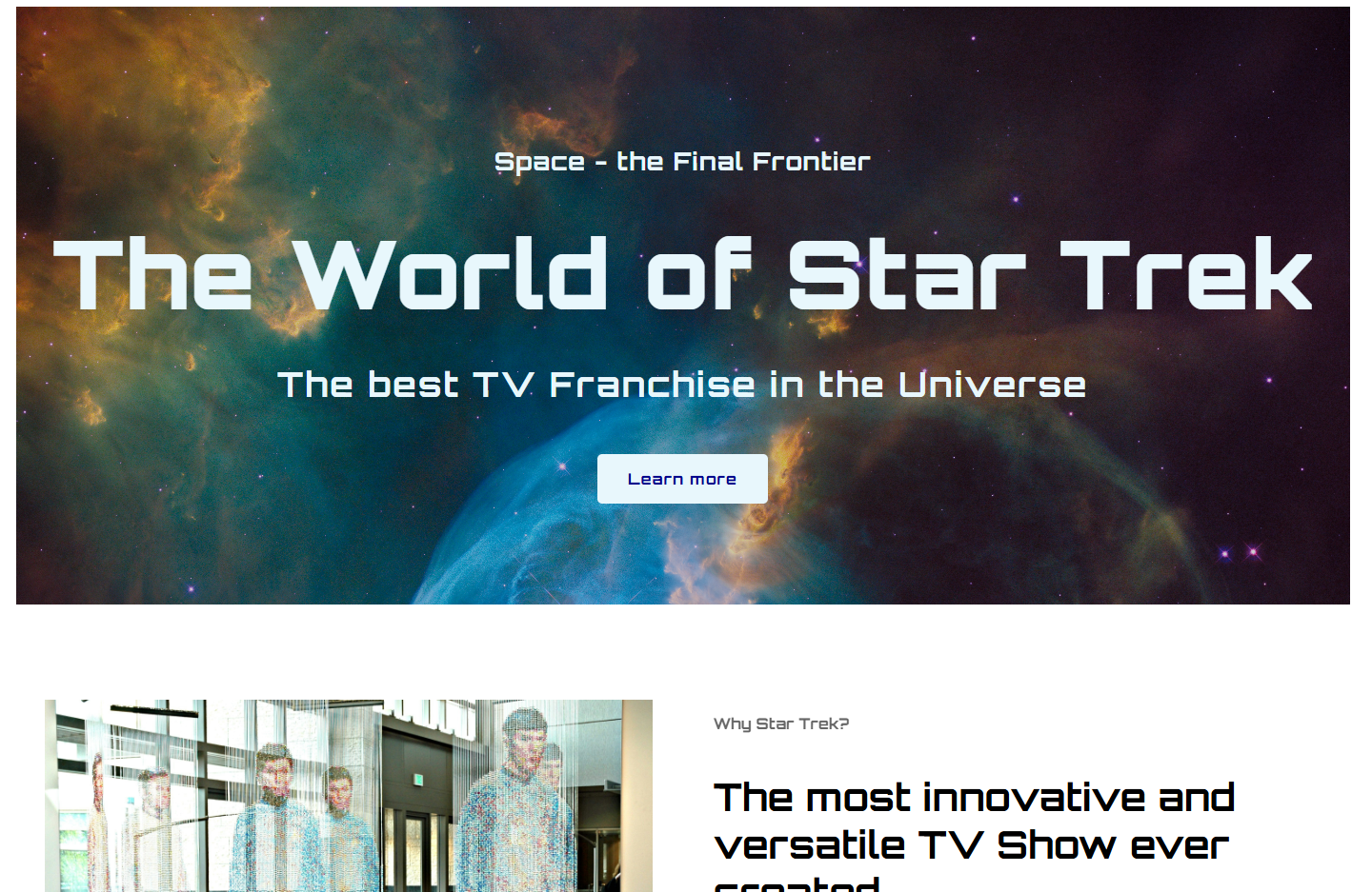 Preview of Star Trek Webpage